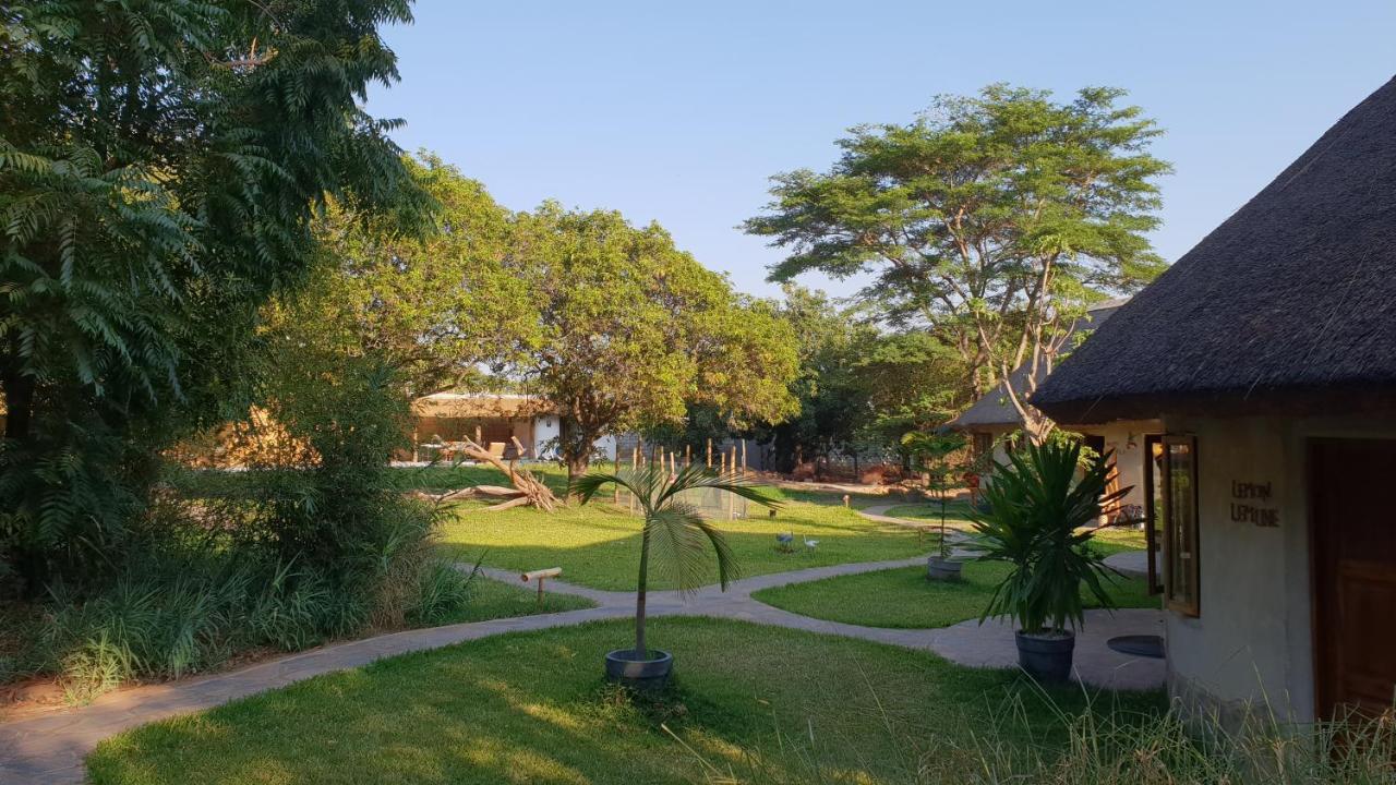 Wild Dogs Lodge 卢萨卡 外观 照片
